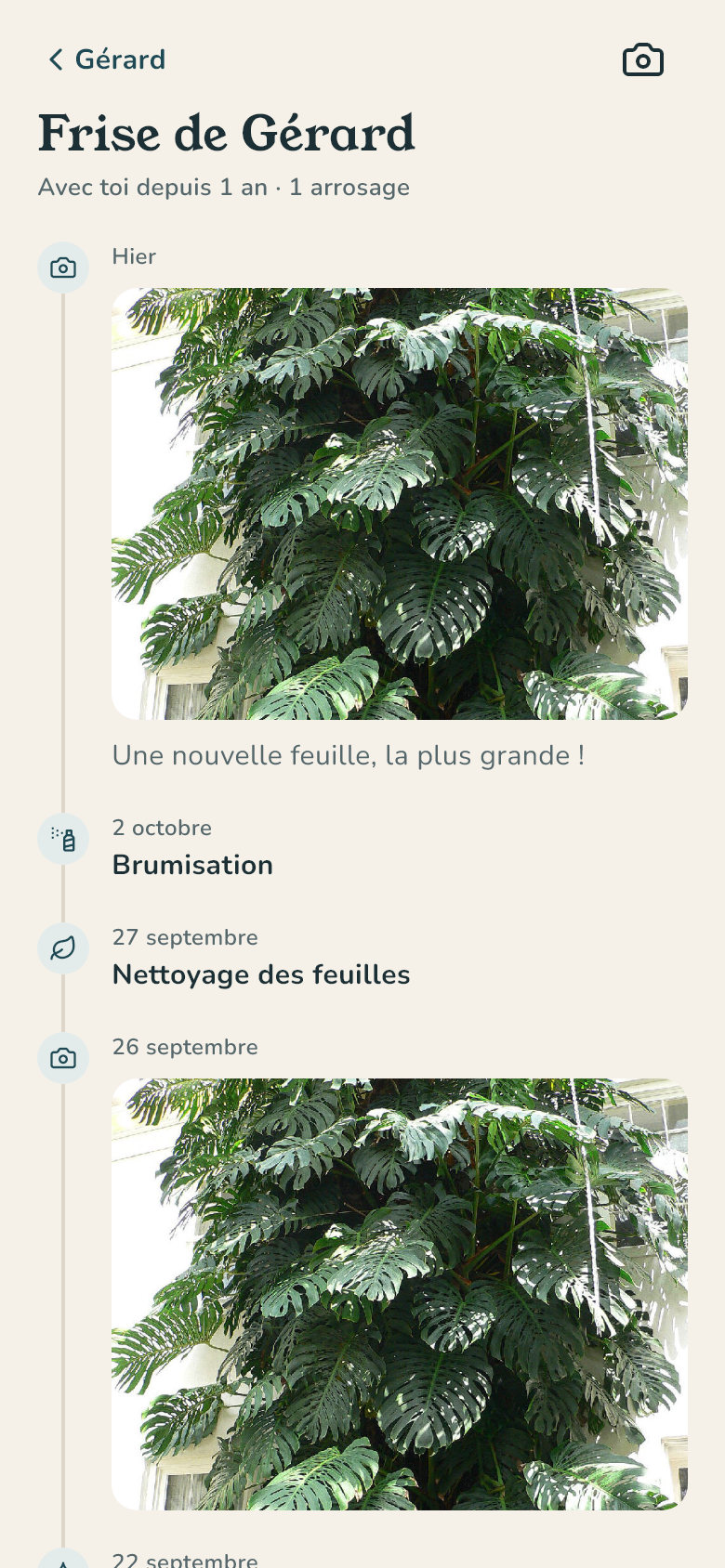 La frise photo d'une plante dans Xyléa